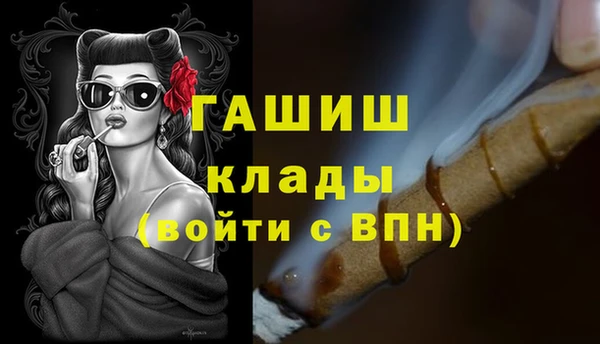 шишки Богородицк