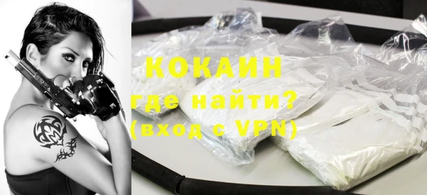 шишки Богородицк
