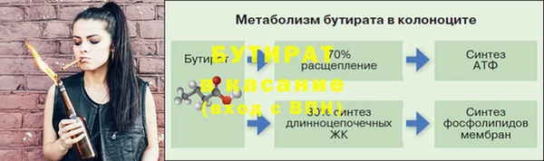 шишки Богородицк