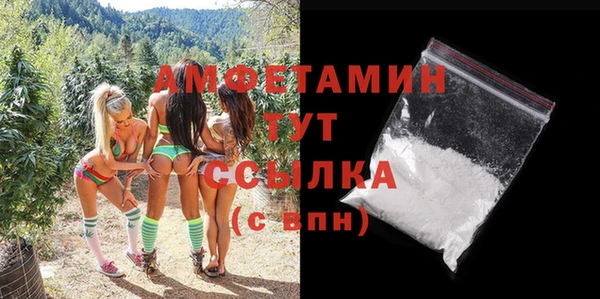 шишки Богородицк
