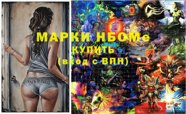 шишки Богородицк