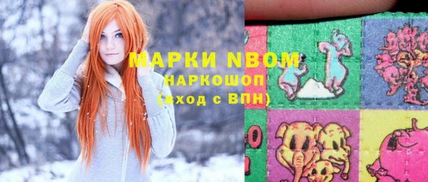 шишки Богородицк