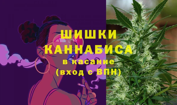 МДПВ Бугульма