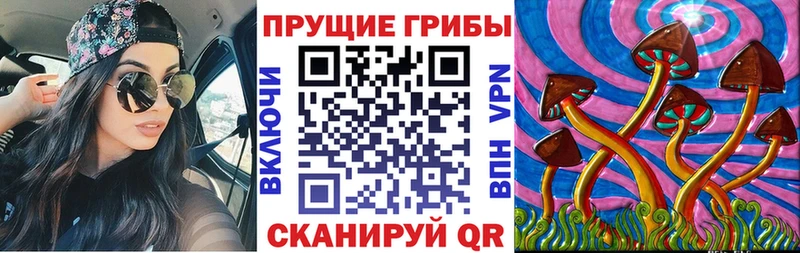 Псилоцибиновые грибы Psilocybe Верхняя Тура
