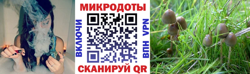 Псилоцибиновые грибы Cubensis  площадка как зайти  Верхняя Тура  даркнет сайт 